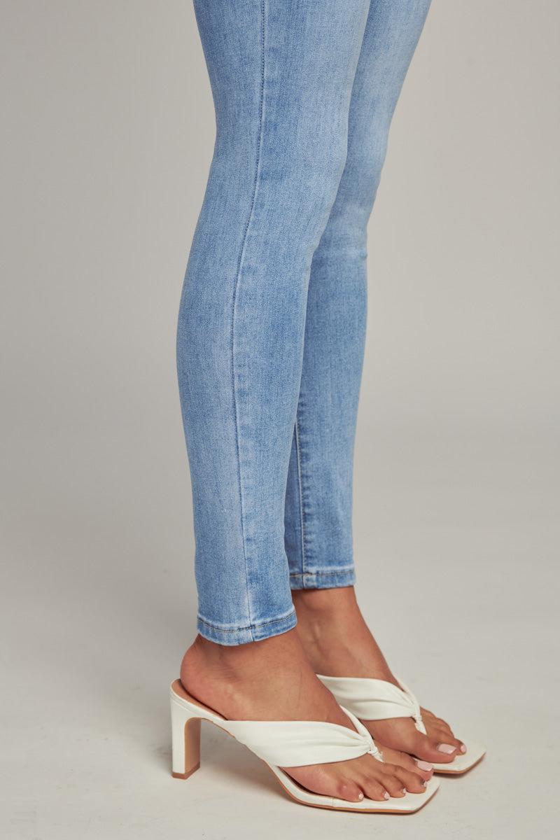 Michelle High Rise Skinny Jeans