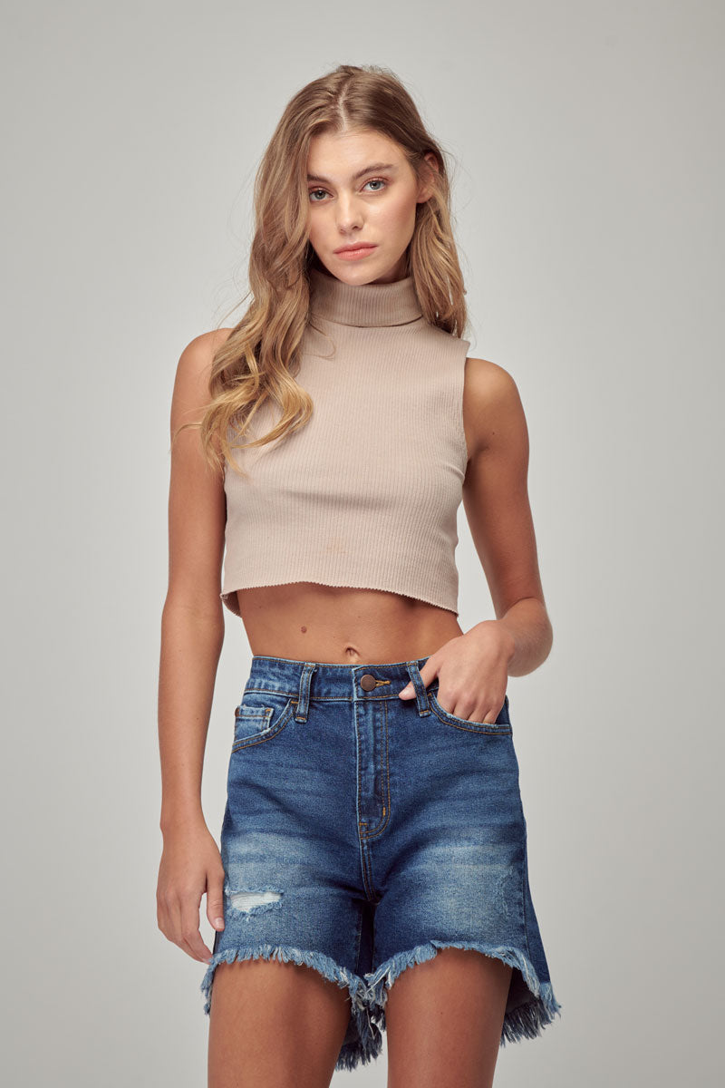 Briar High Rise Shorts