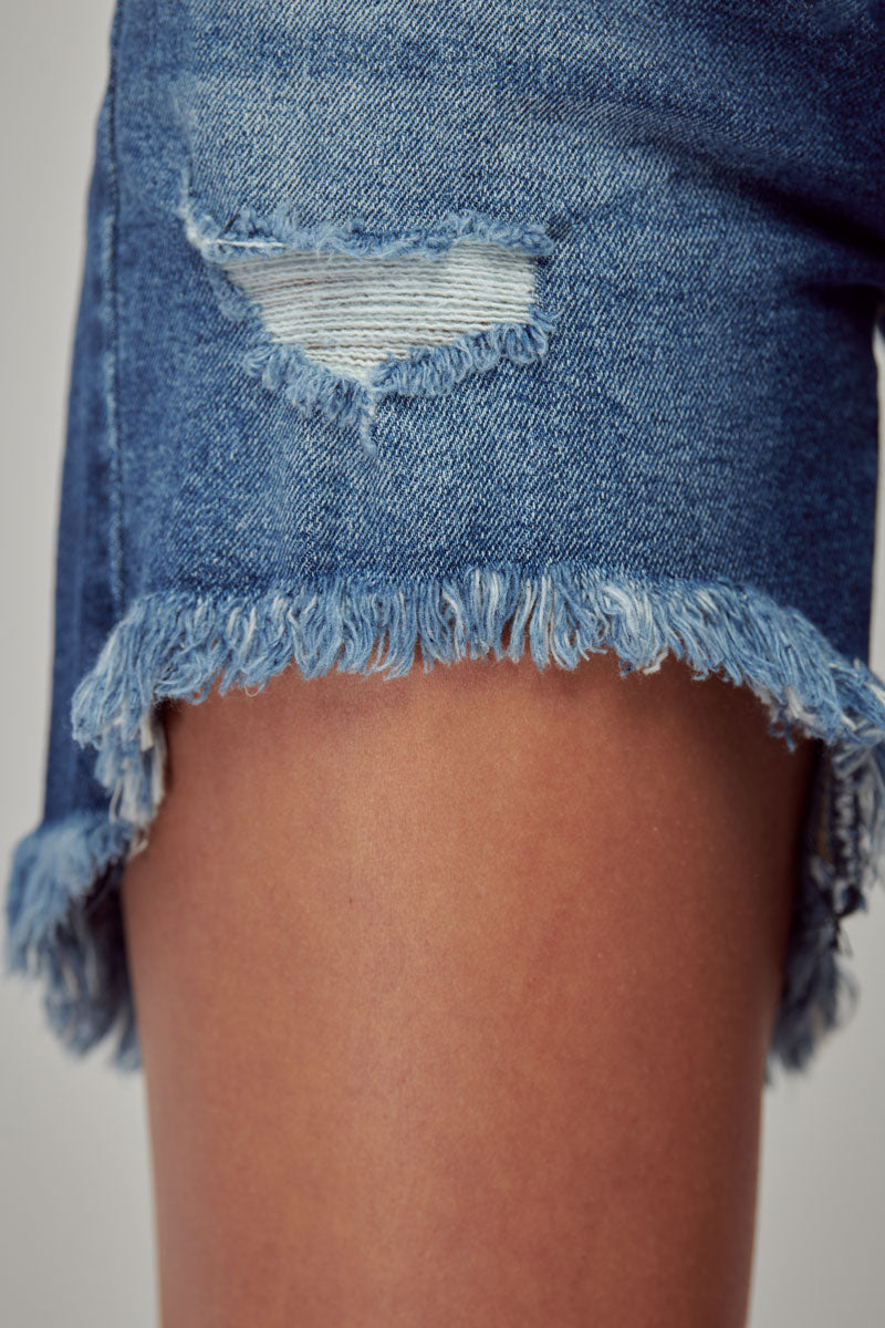 Briar High Rise Shorts